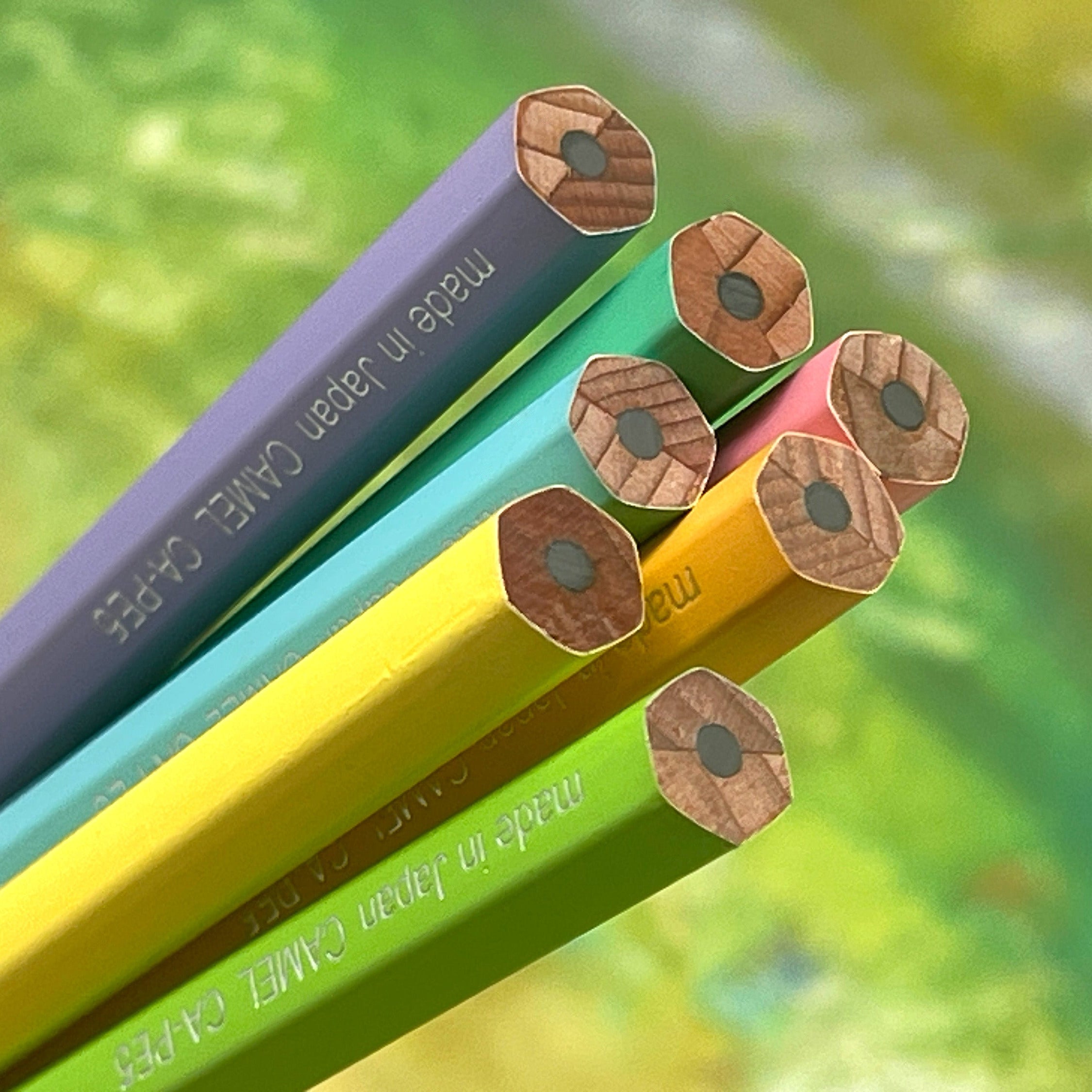 Set of 7 Camel HB Graphite pencils with wooden caps on a blurred natural background