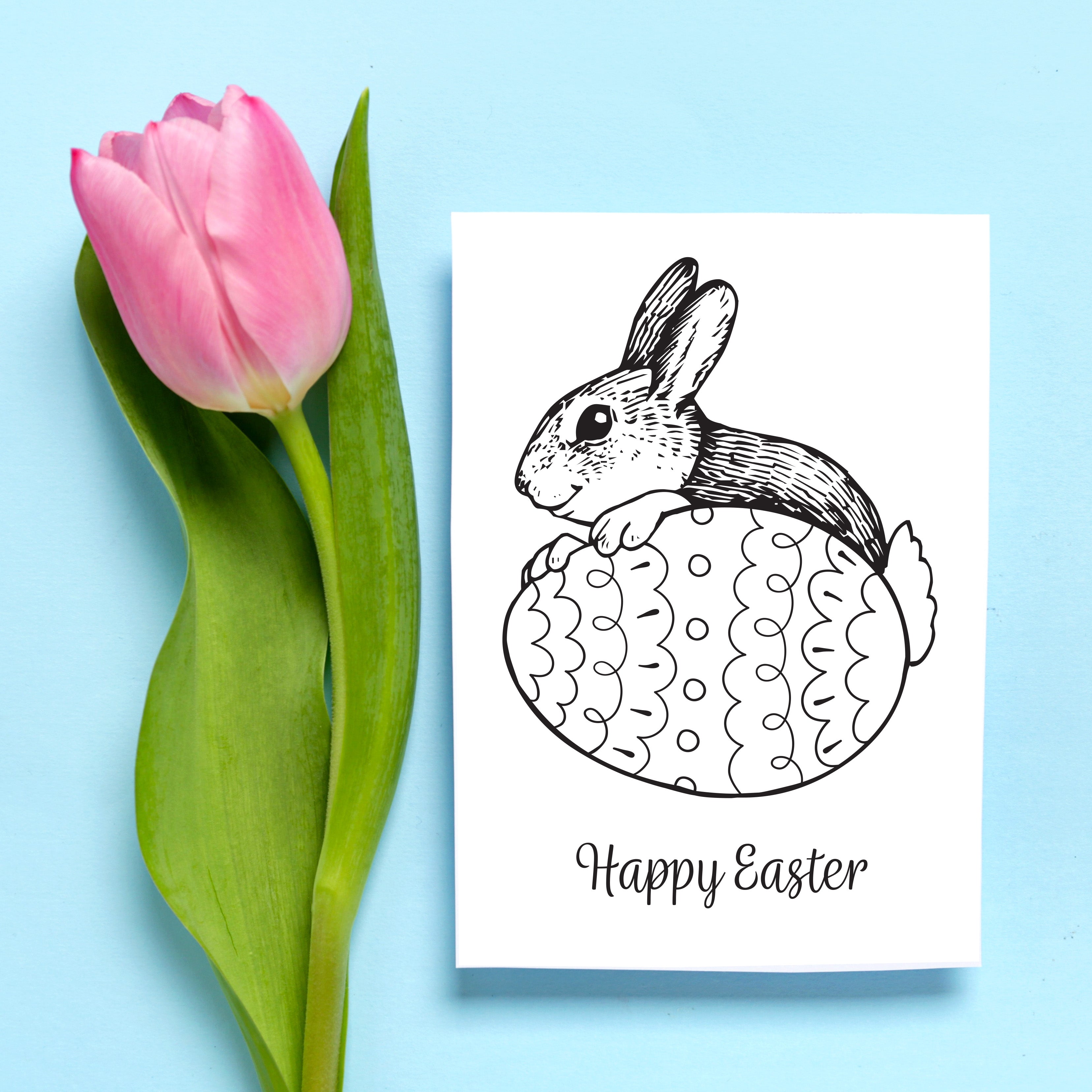 Stubby Pencil Studio