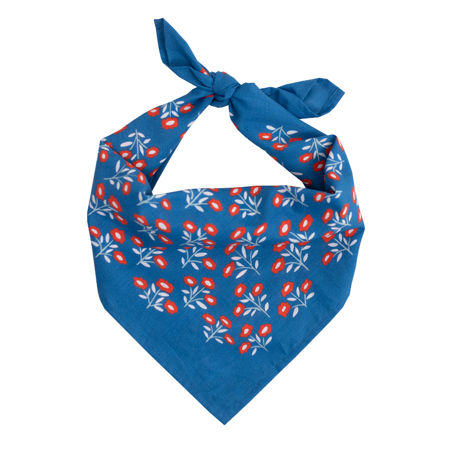 Blue bandana with red and white floral pattern on a white background
