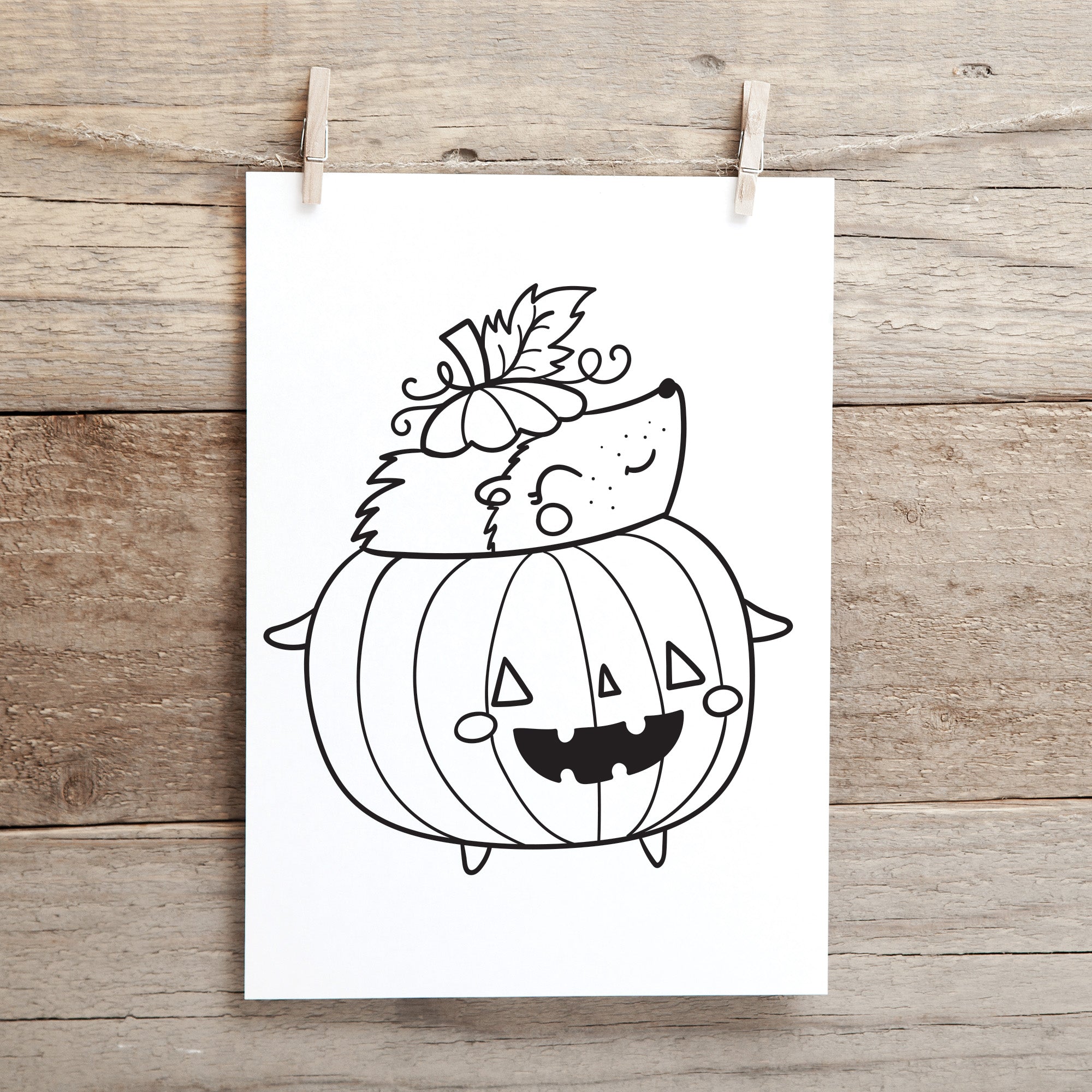 Stubby Pencil Studio