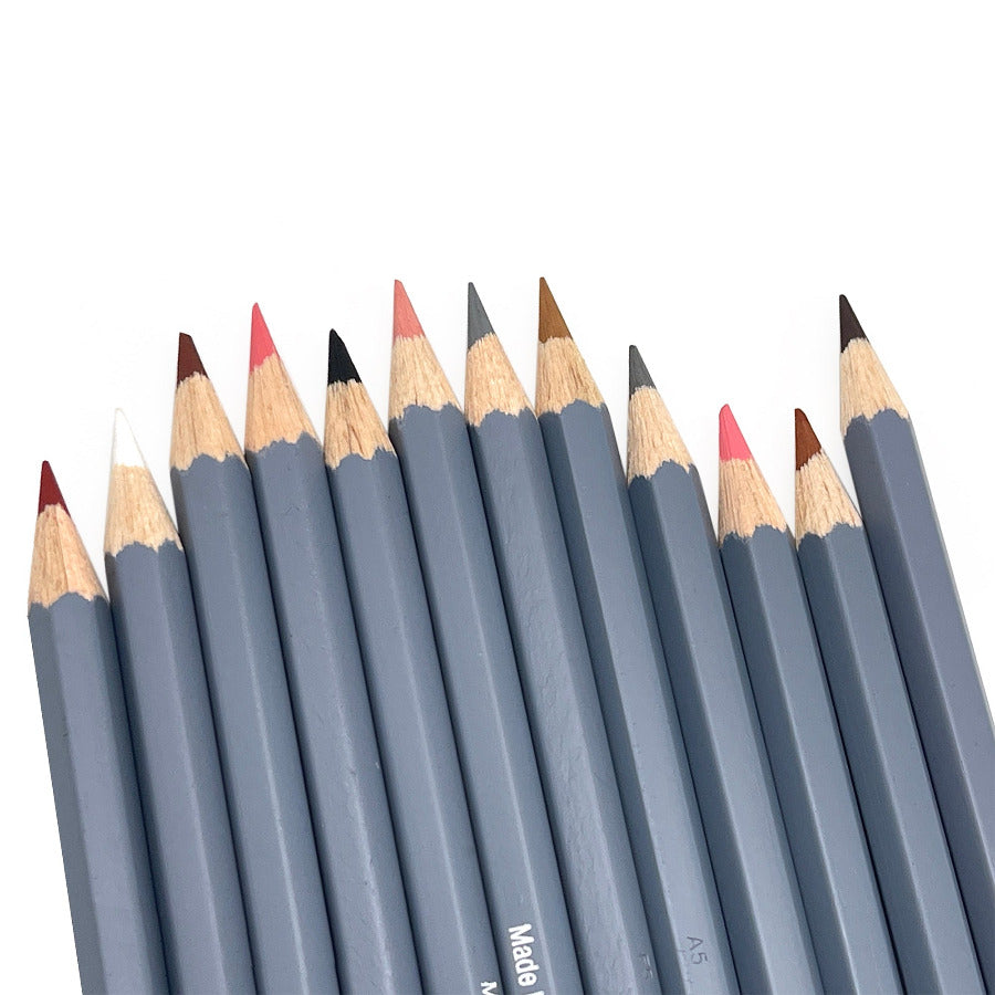 Set of 12 skin tone colored watercolor pencils against a white background