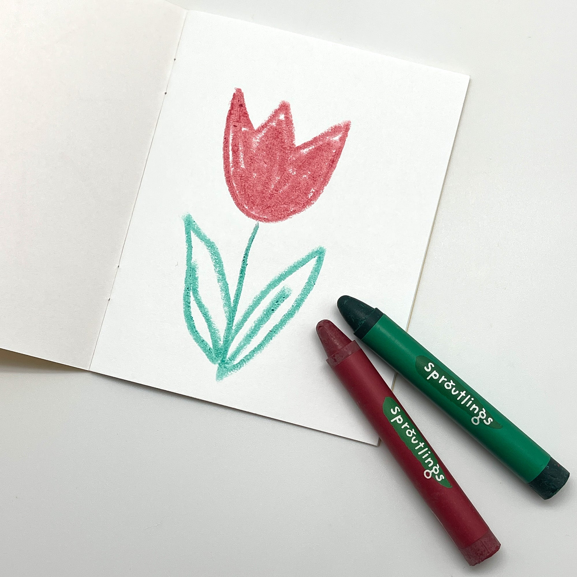 Stubby Pencil Studio