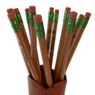 Close up photo of eco friendly #2 pencils made from natural cedar wood displayed in a pencil holder on a white background