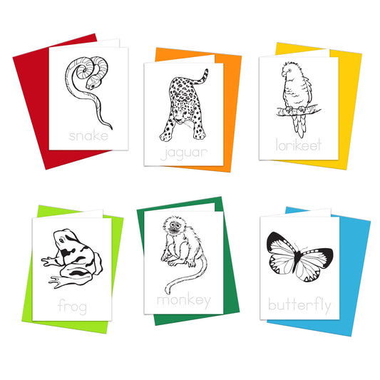 Coloring Cards - Rainforest Animals