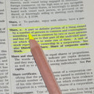 Stubby Pencil Studio