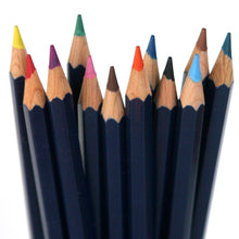 Load image into Gallery viewer, Aqualine Watercolor Pencils 12

